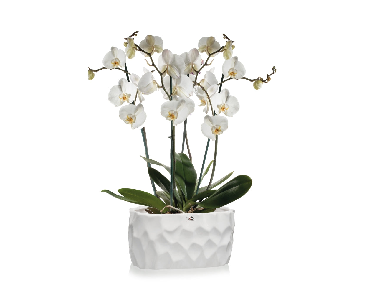 Itaca vaso 28x16,5xh.14,2cm tortora