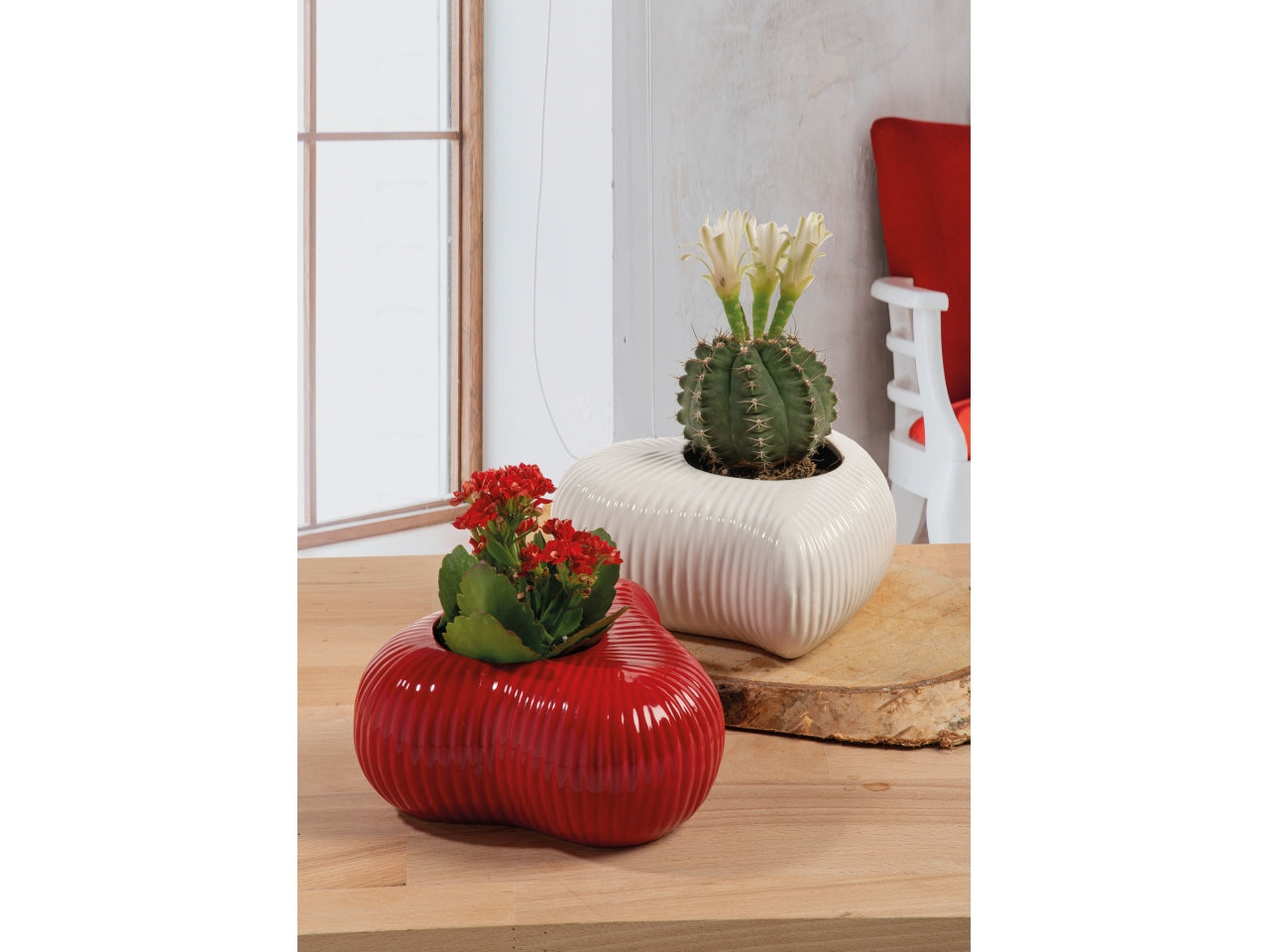 Eros ciotola 9,5x9,5xh.4cm rossa