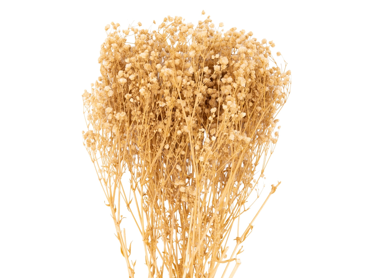 Mazzetto gypsofila naturale