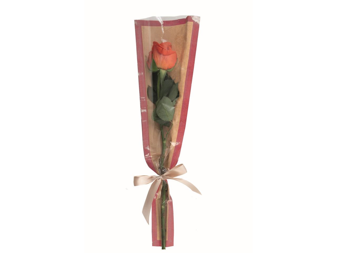 Buste coniche kelly 50pz 15x5x70cm rosso