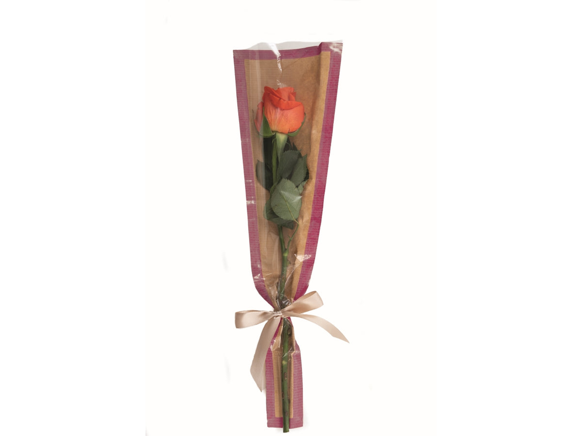 Buste coniche kelly 50pz 15x5x70cm rosso