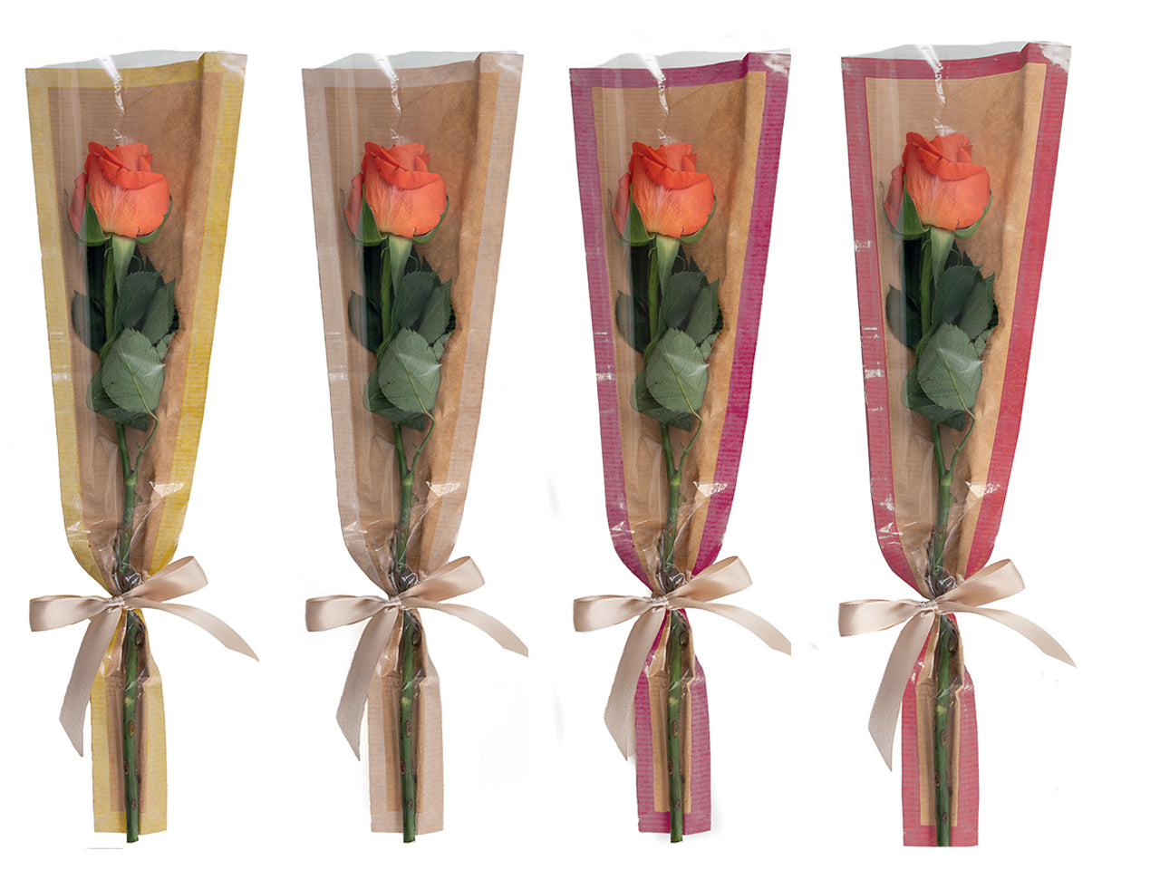 Buste coniche kelly 50pz 15x5x70cm rosso