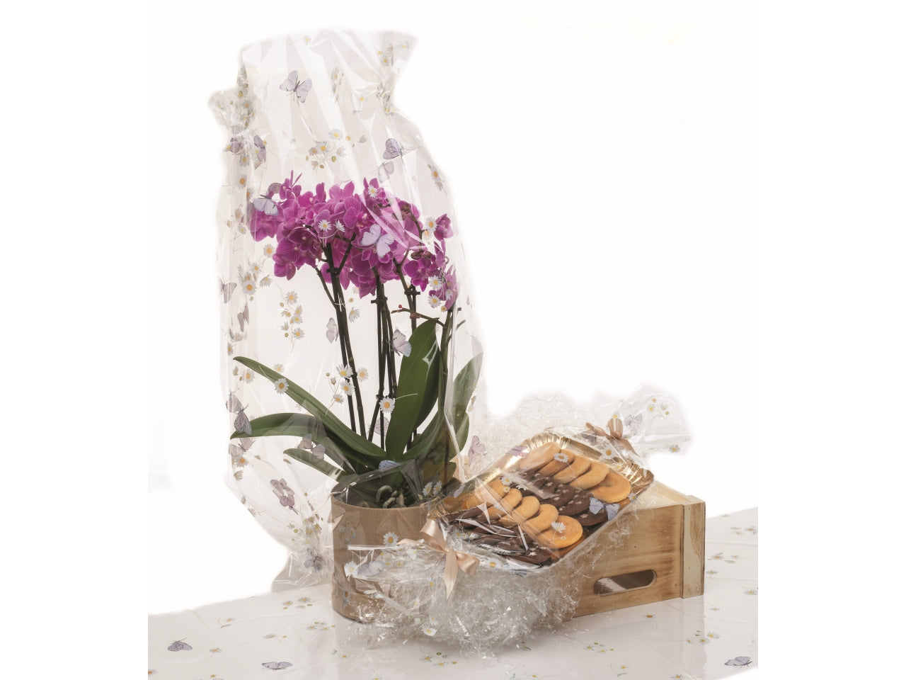 Fogli trasparenti con stampa lumiere 100x130cm in confezione da 50 pezzi