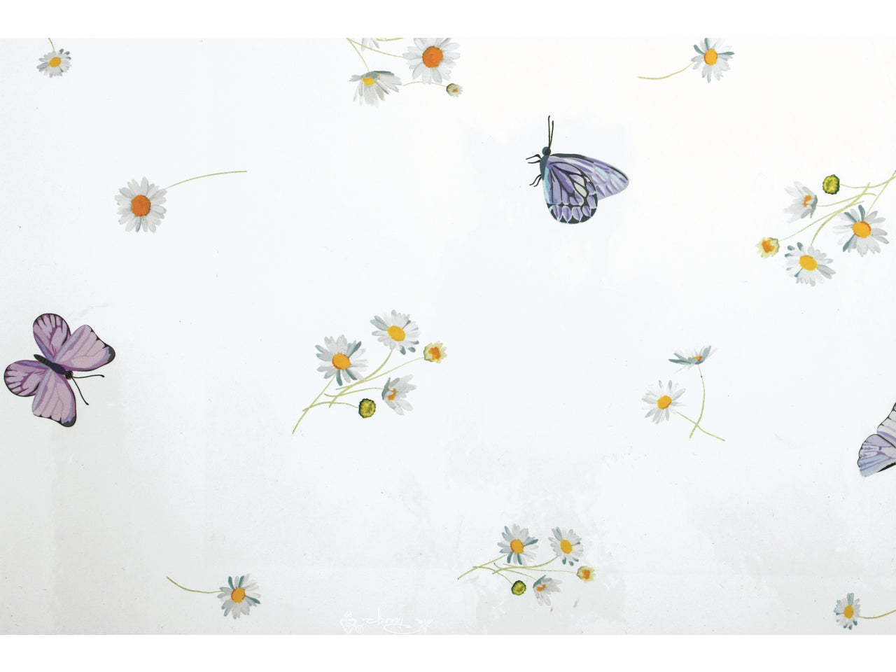 Fogli trasparenti con stampa lumiere 100x130cm in confezione da 50 pezzi