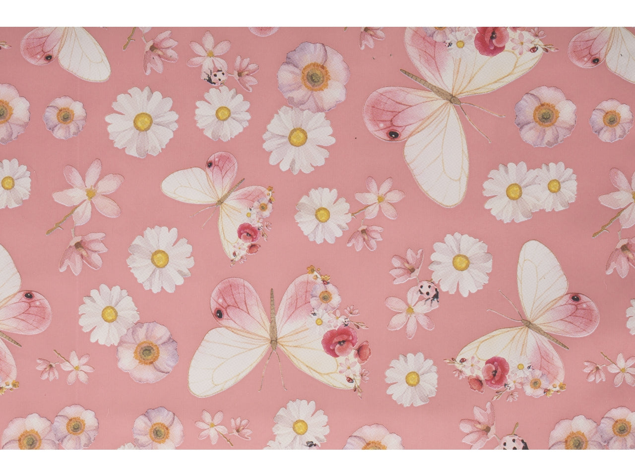 Buste alissa 25x40cm, confezione da 100 pezzi assortite