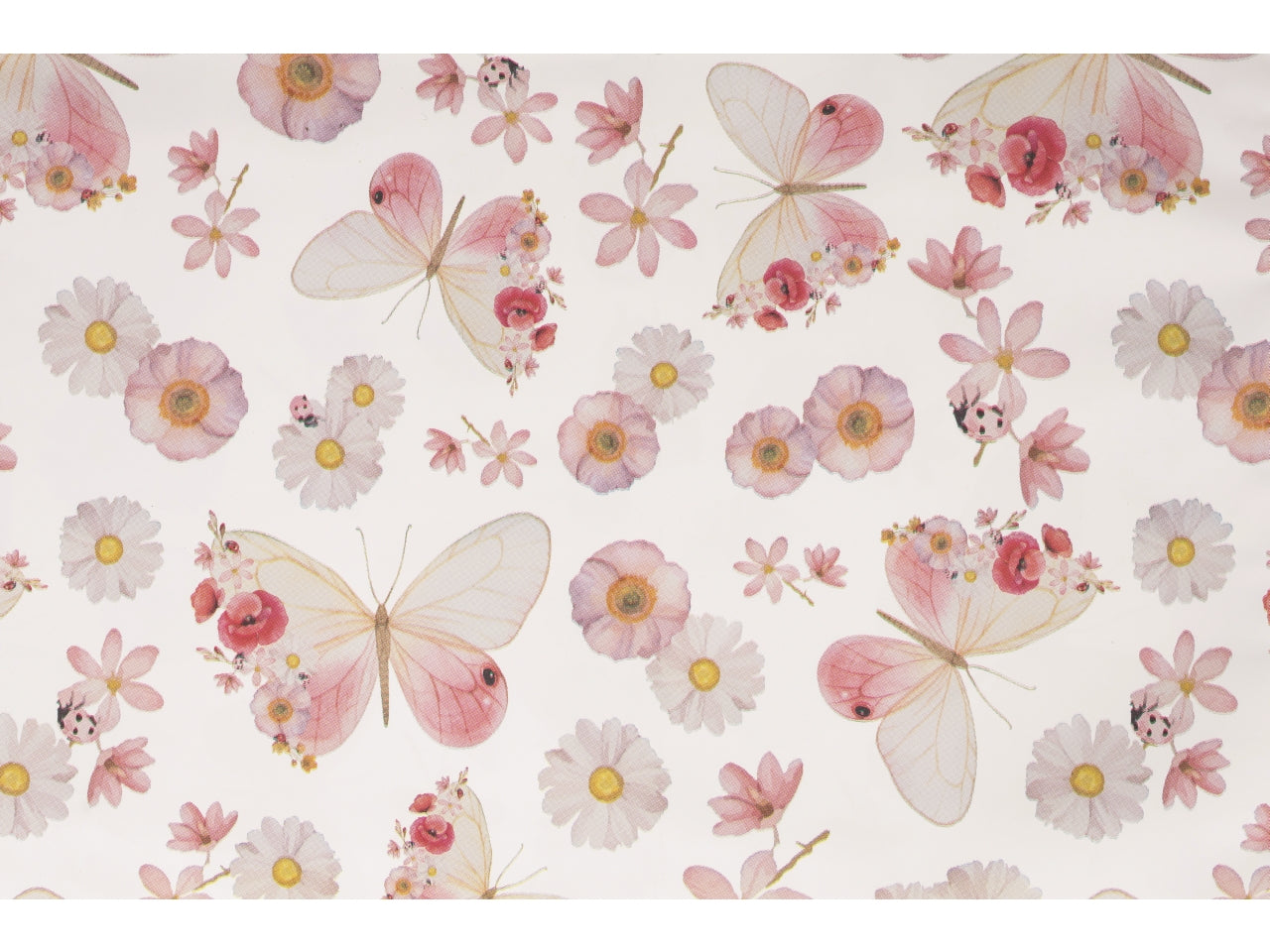 Buste alissa 35x50cm, confezione da 50 pezzi assortite