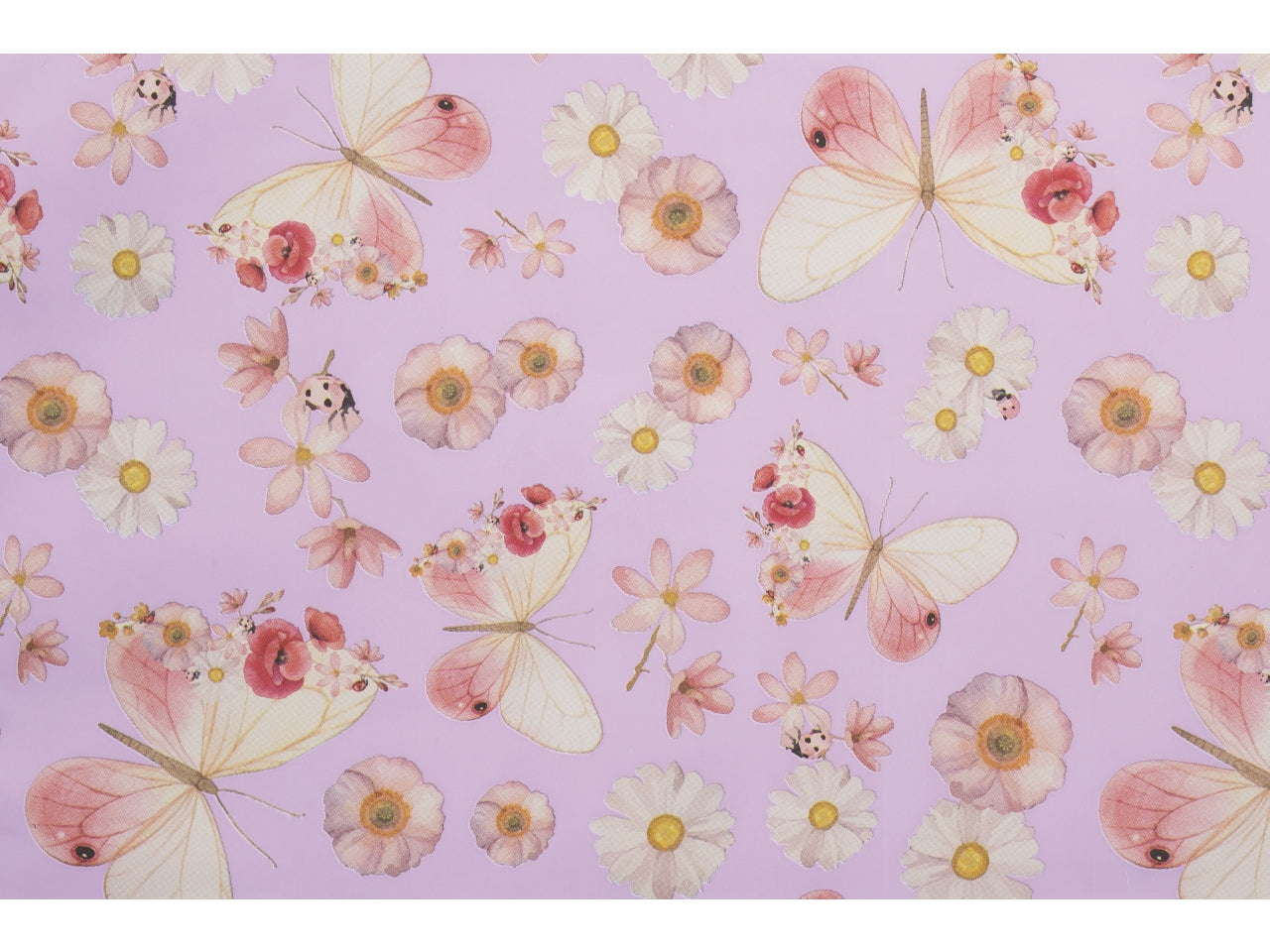 Buste alissa 35x50cm, confezione da 50 pezzi assortite