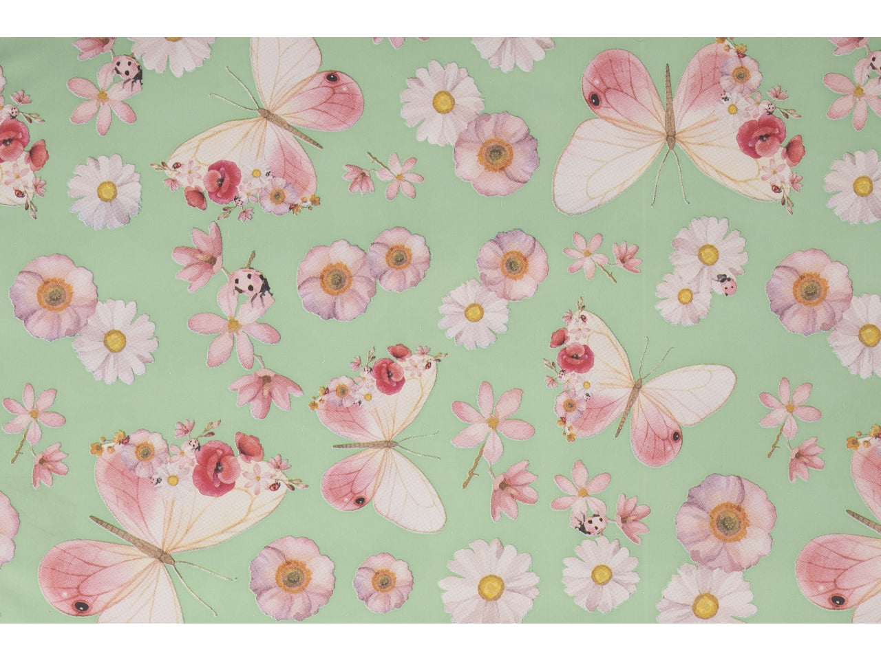 Buste alissa 35x50cm, confezione da 50 pezzi assortite