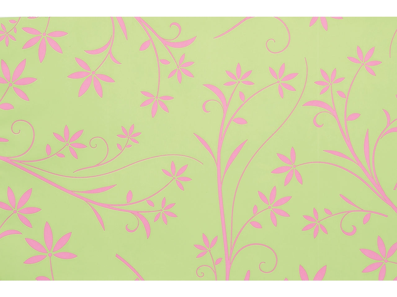 Buste silhouette 16x25cm, confezione da 100 pezzi assortite