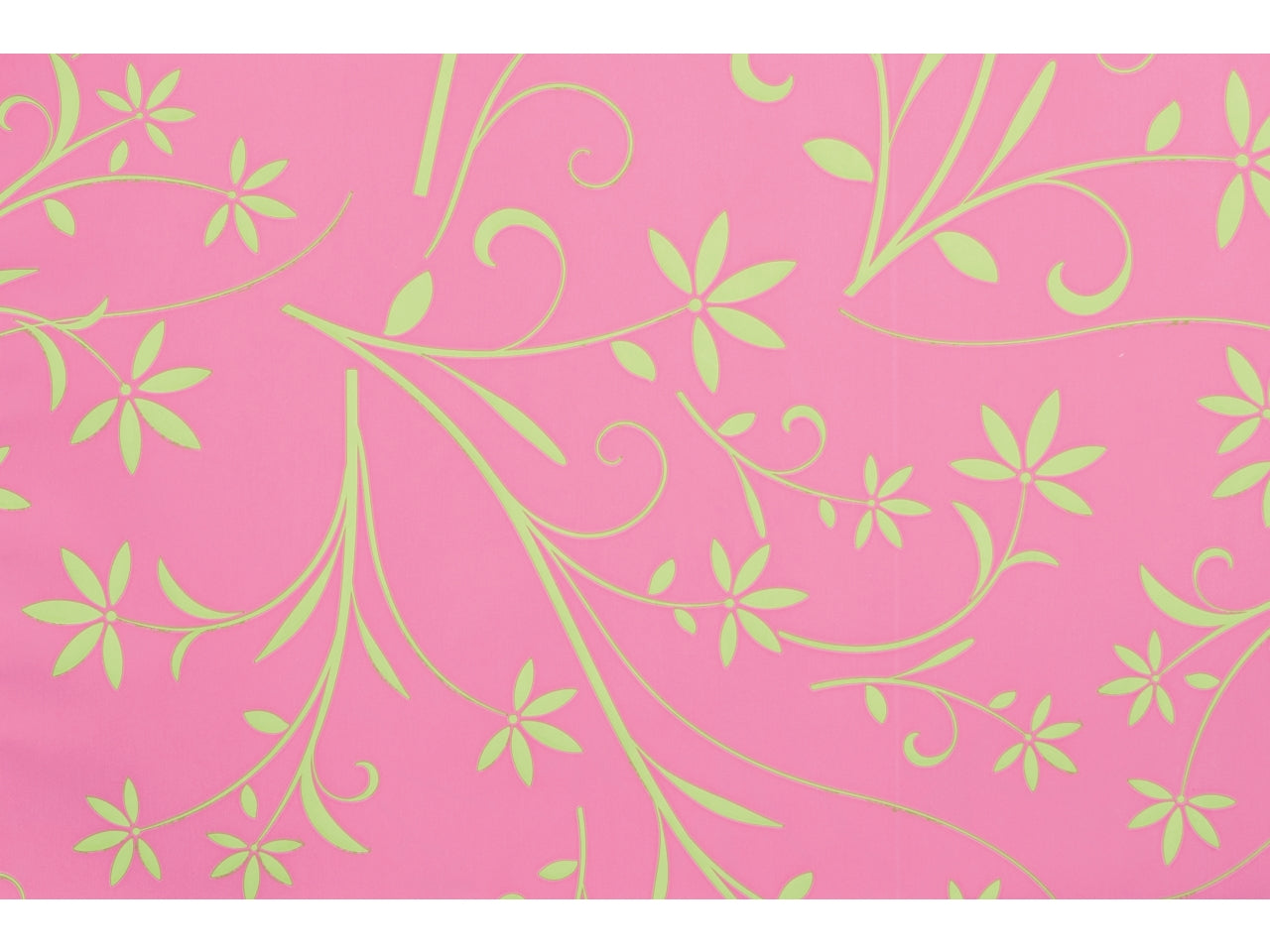 Buste silhouette 16x25cm, confezione da 100 pezzi assortite