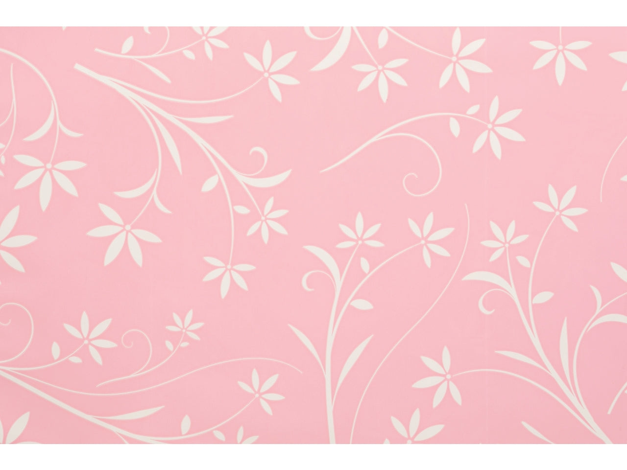 Buste silhouette 25x40cm, confezione da 100 pezzi assortite