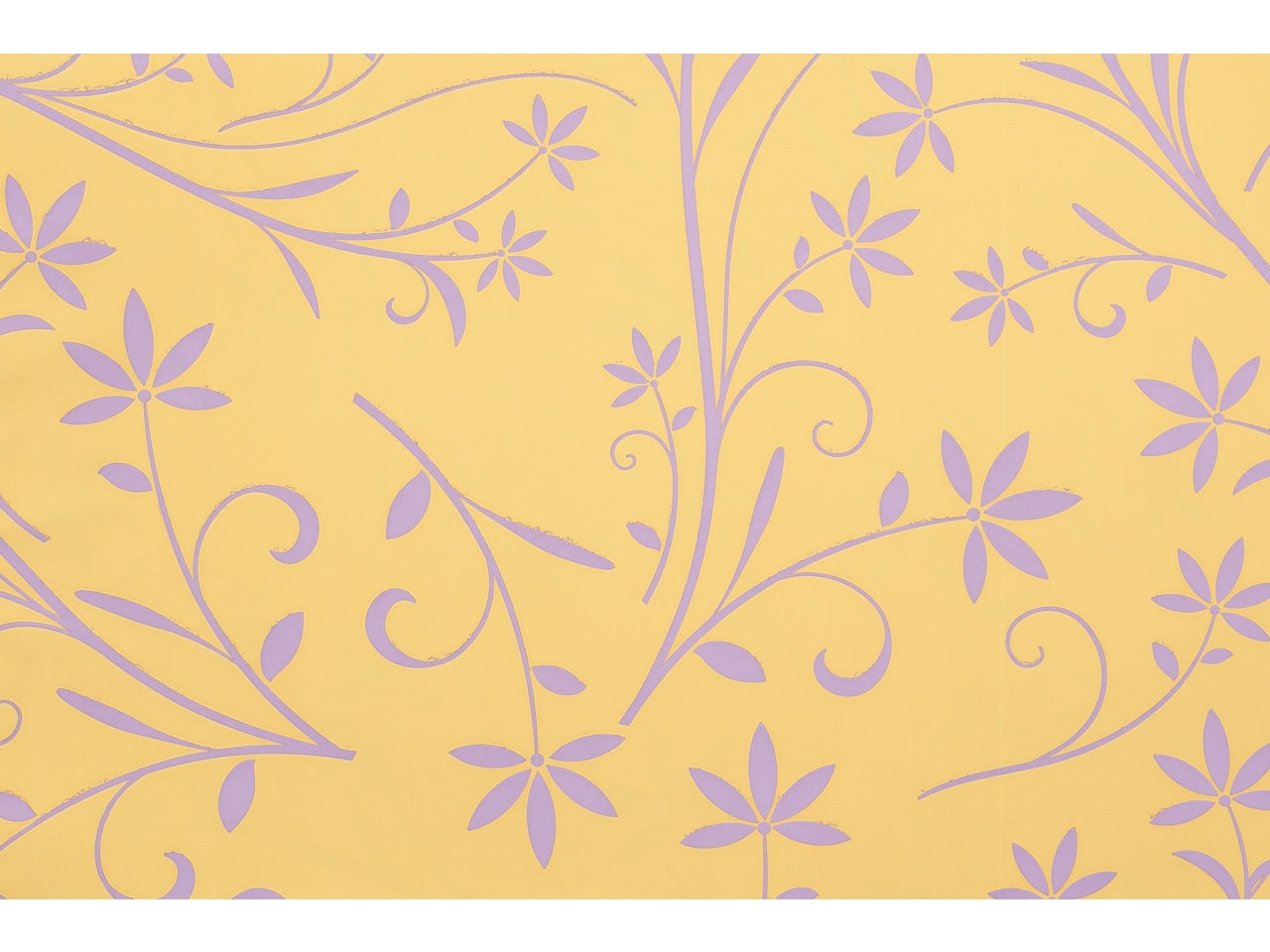 Buste silhouette 25x40cm, confezione da 100 pezzi assortite