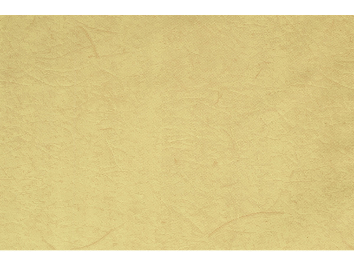 Buste carta gelso 40x65cm, confezione da 50 pezzi assortite