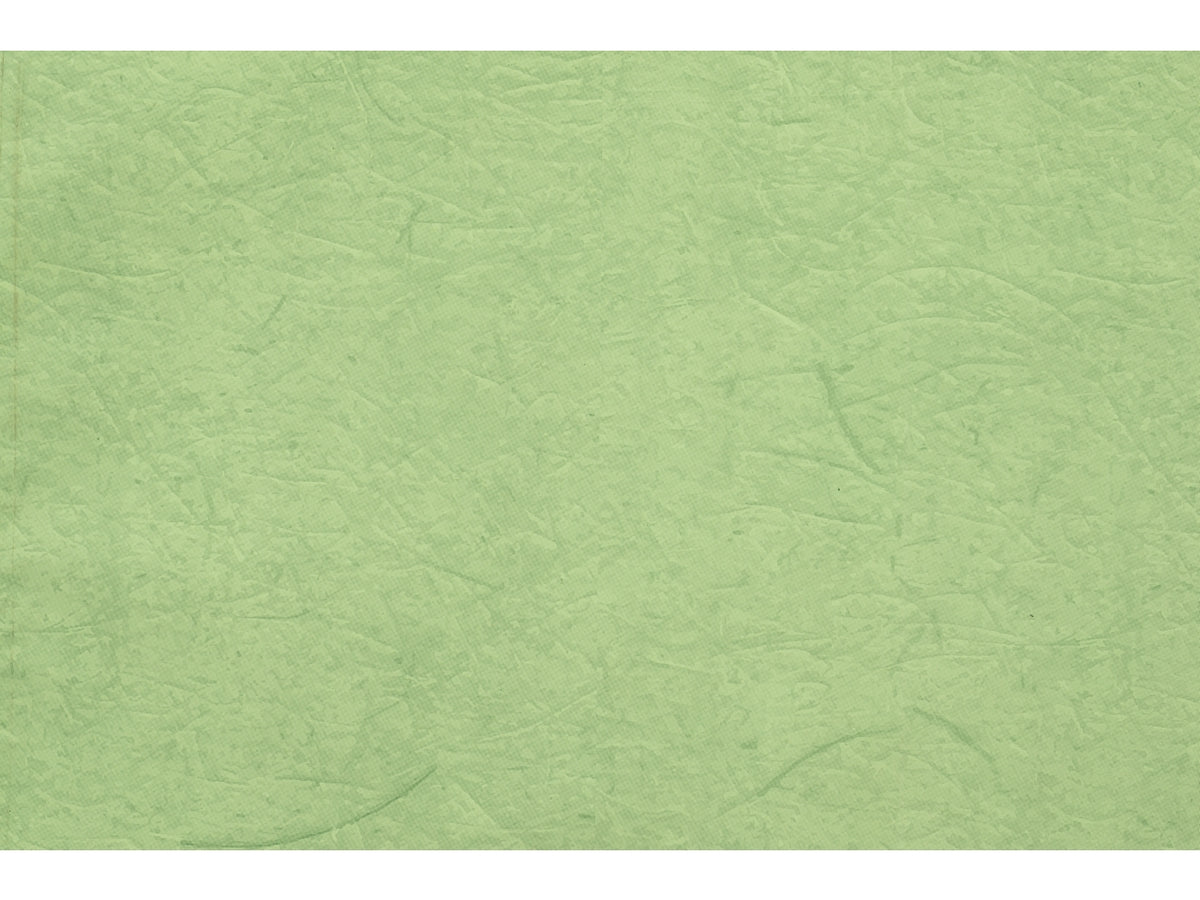 Buste carta gelso 40x65cm, confezione da 50 pezzi assortite