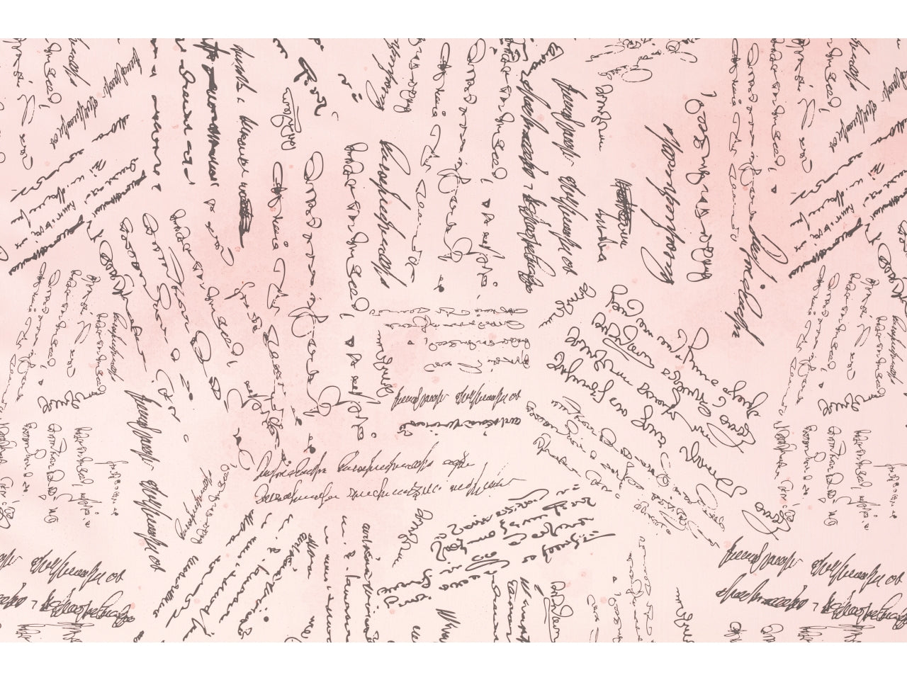 Buste script 35x50cm, confezione da 50 pezzi assortite