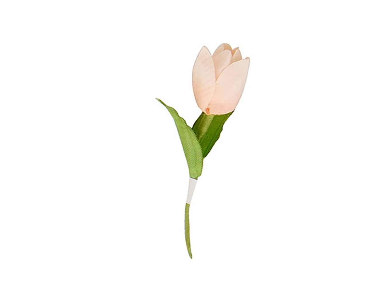 Tulipani pesca in confezione da 12 pezzi