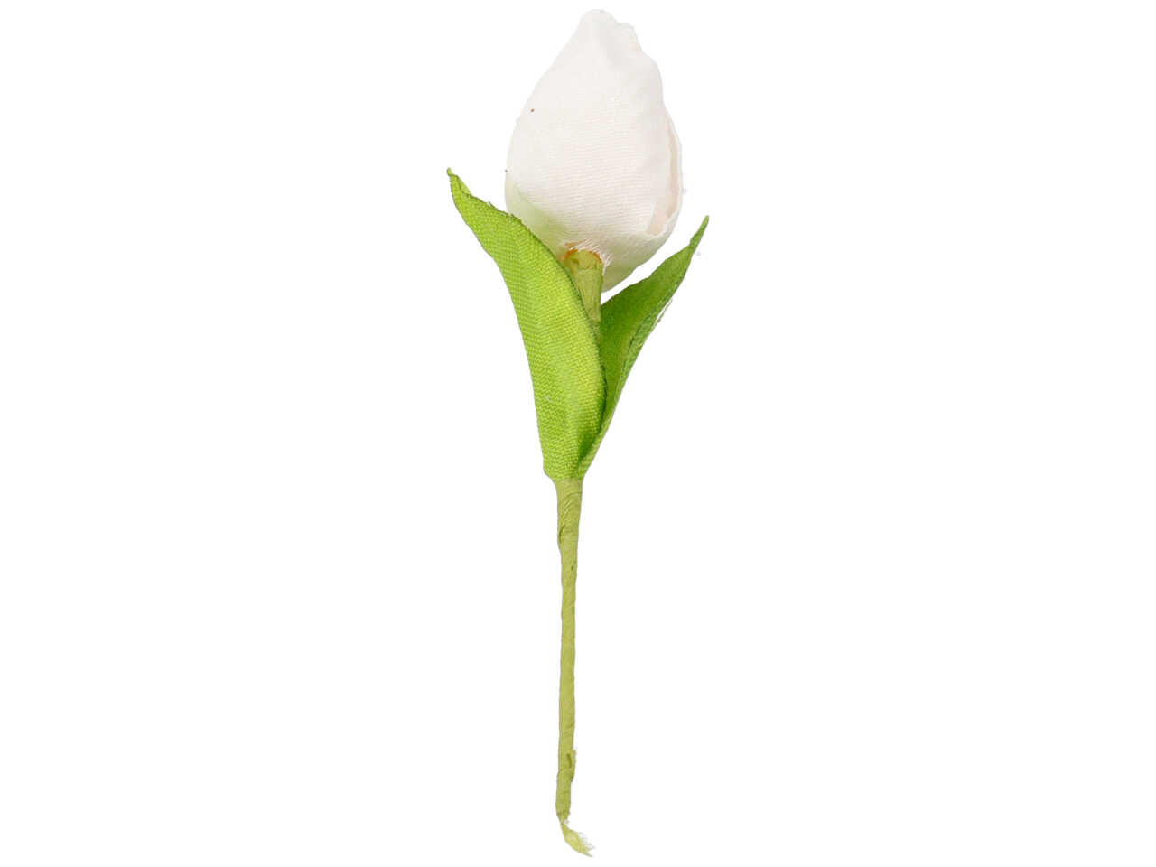 Tulipani bianchi in confezione da 12 pezzi