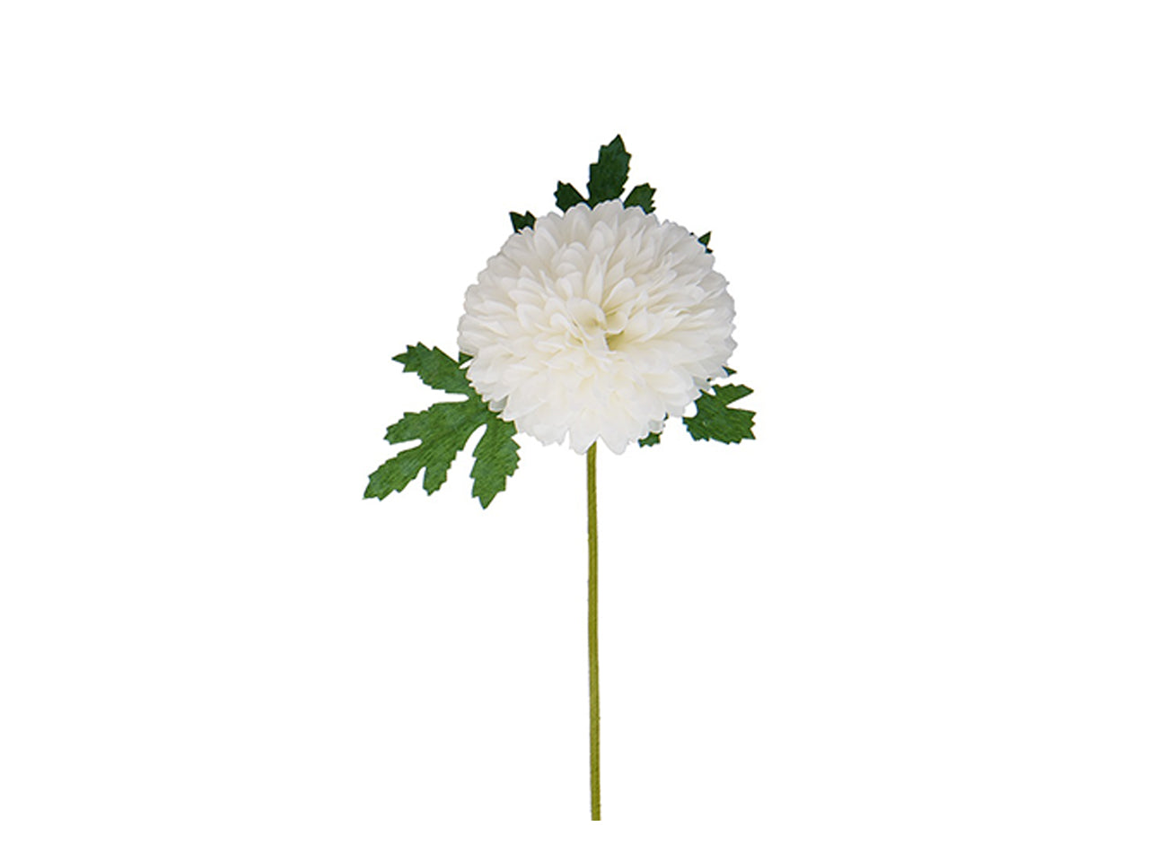 Dalia d.7cm bianca in confezione da 12 pezzi