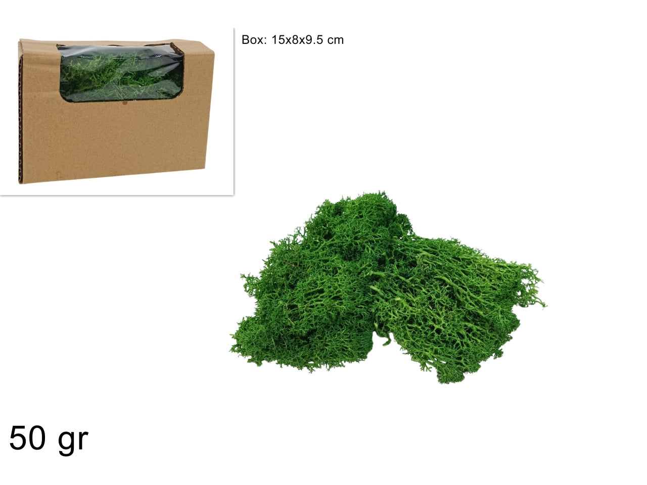 Lichene 50gr verde scuro in box