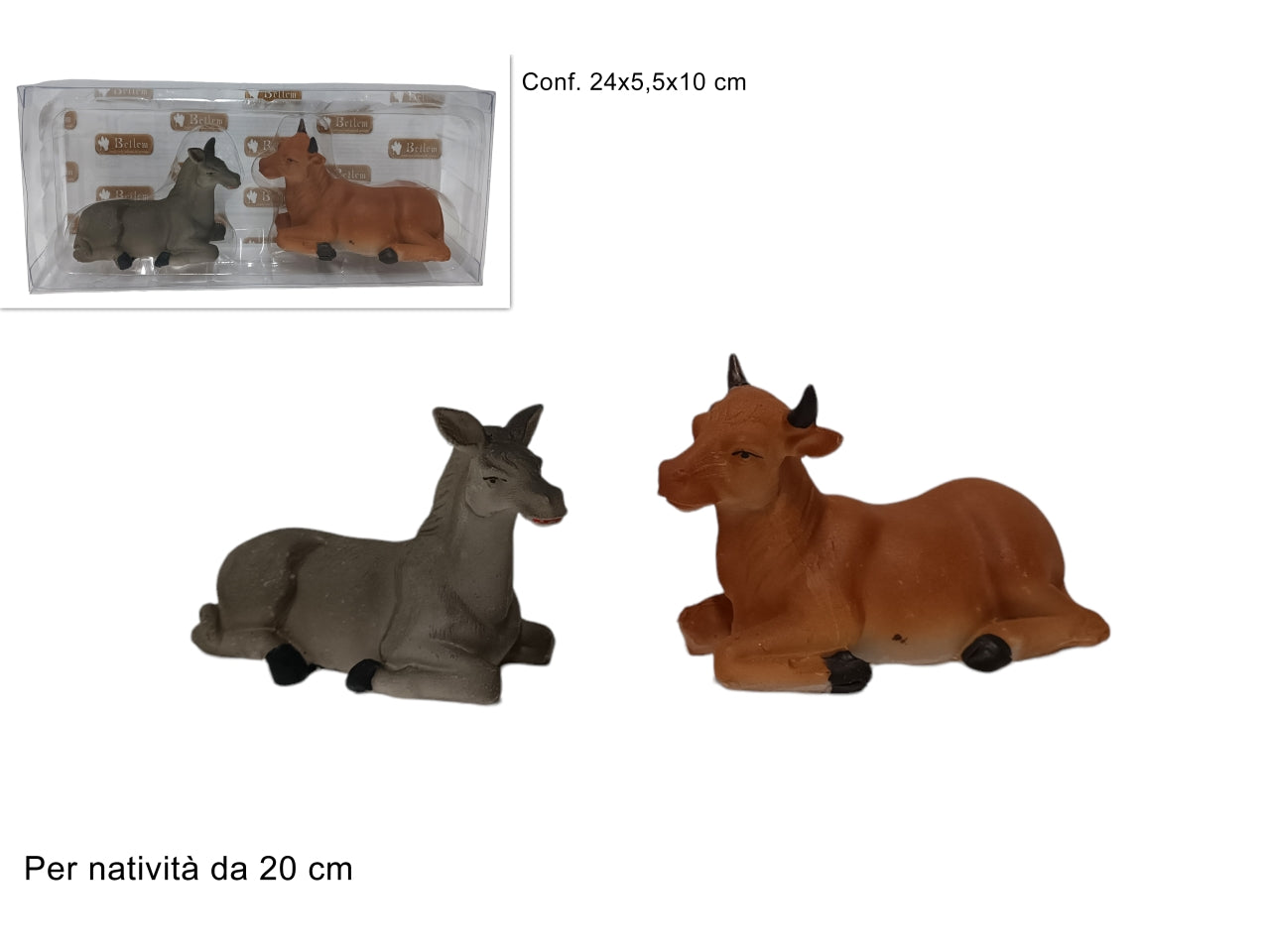 Bue e asinello set 2 pezzi in box pvc per nativitÃ  da 20cm