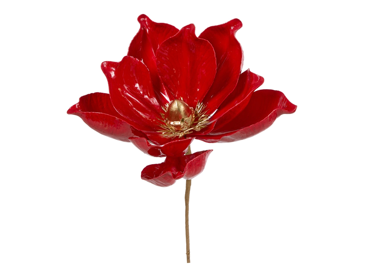 Pick magnolia 24cm lucida rosso