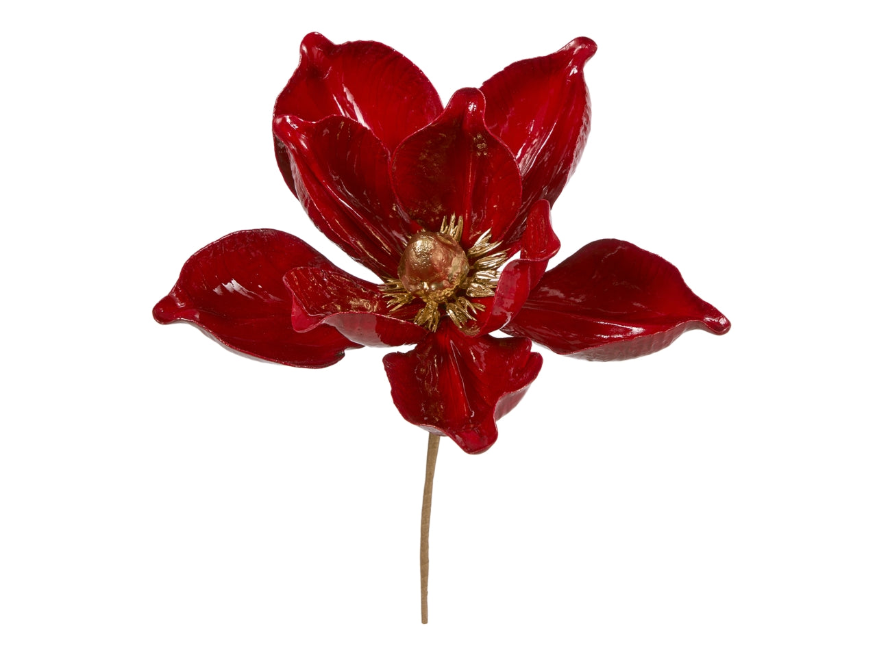 Pick magnolia 24cm lucida bordeaux