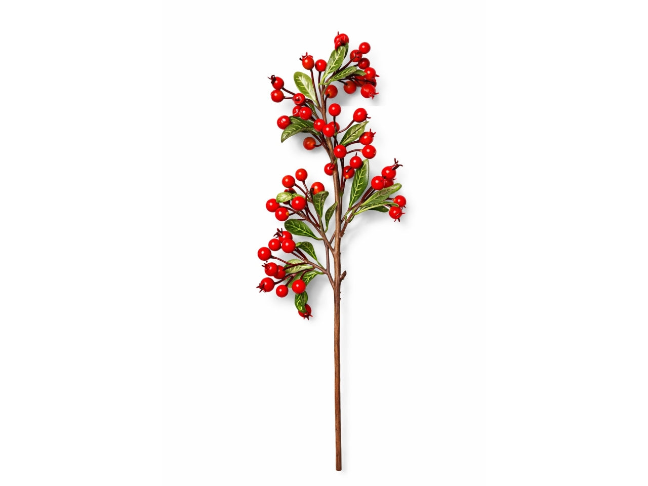 Ramo bacche 50cm rosse