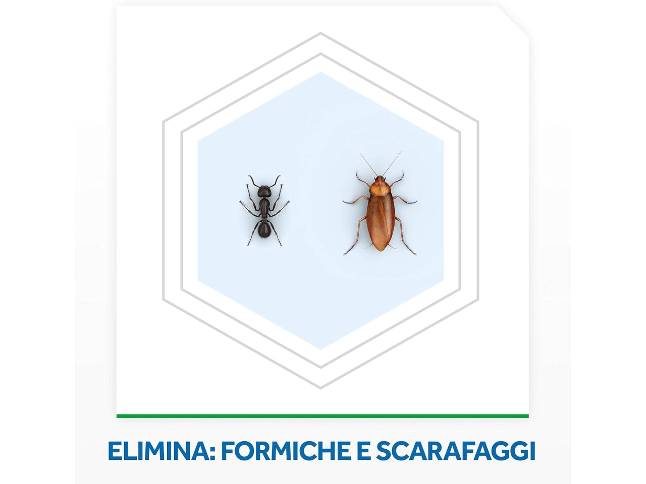 Baygon polvere scarafaggi e formiche 250g $