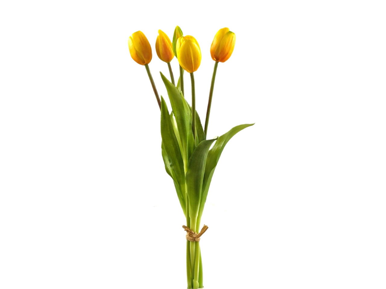 Mazzo tulipani 38cm con 5 fiori giallo