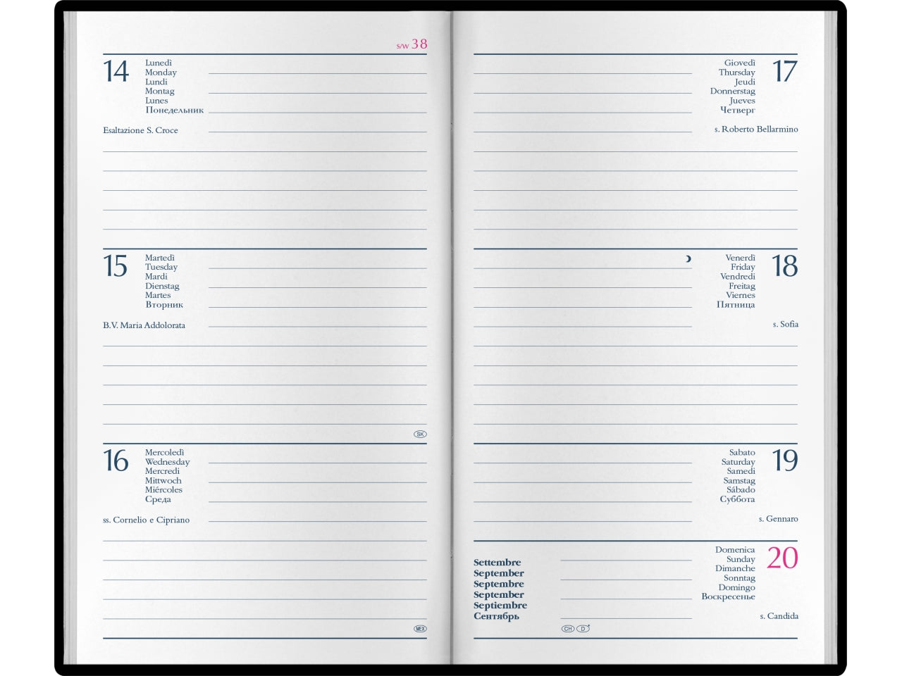 Agenda 2027 Dynamic con elastico 8x14cm settimanale verticale nocciola