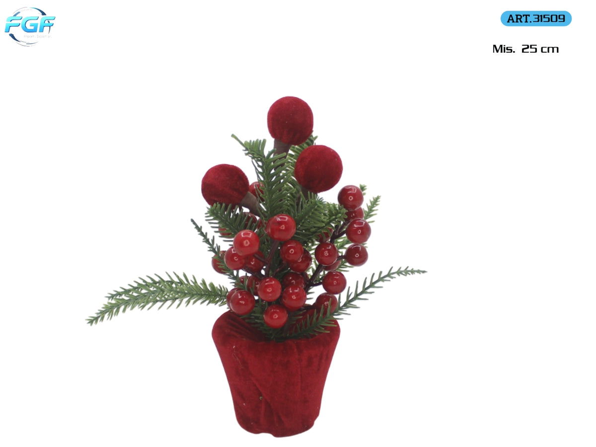 Piantina natalizia 25cm con bacche rosse