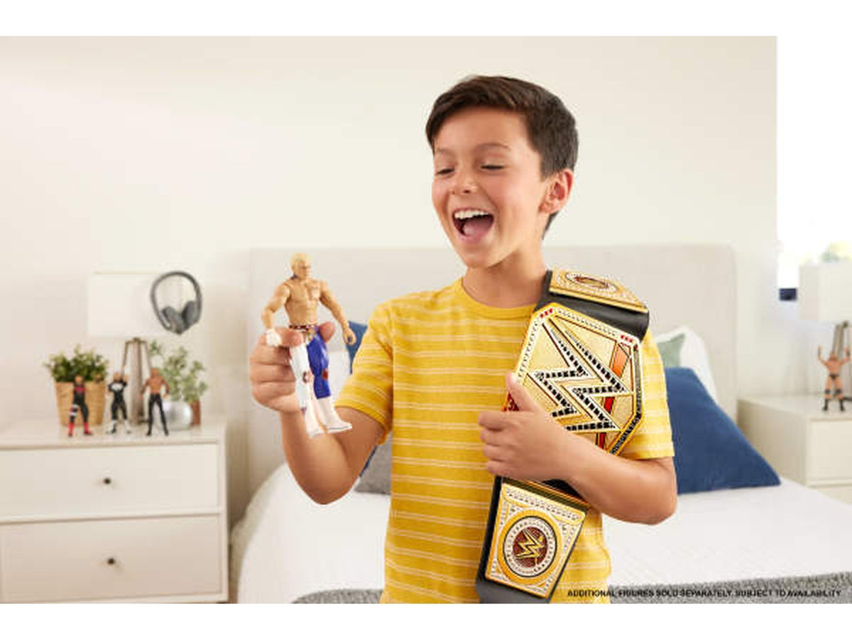 Wwe championship title assortito