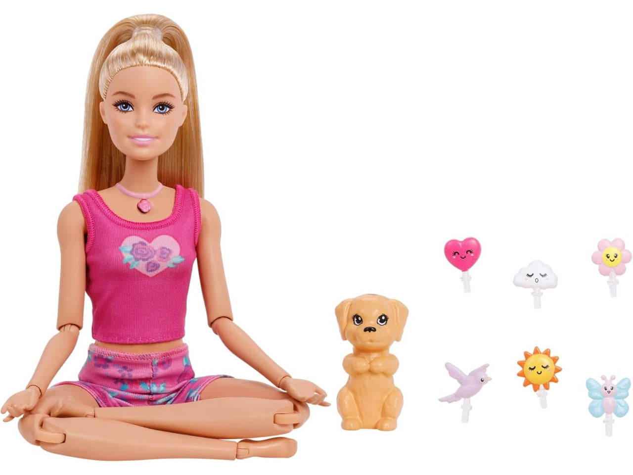 Barbie mindful moves doll and accessessori