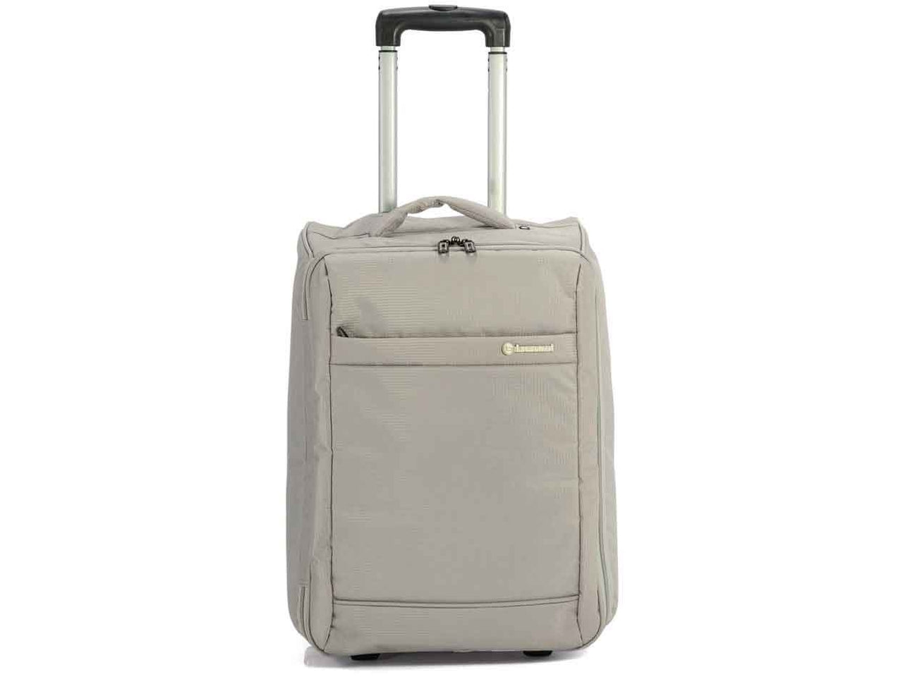 Trolley pieghevole con 2 ruote grigio