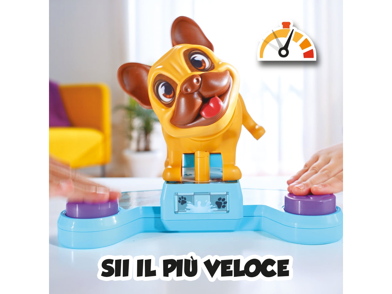 Lillo zampillo