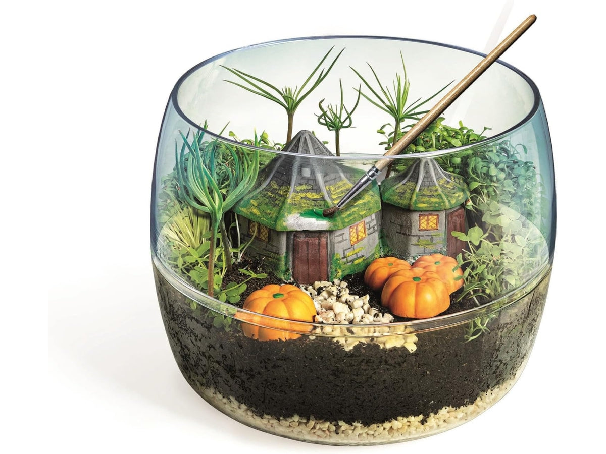 Harry potter hagrid's hut terrarium