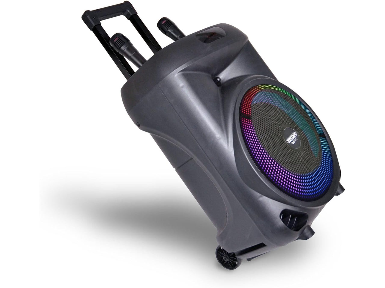 Cassa trolley wireless con 2 microfoni