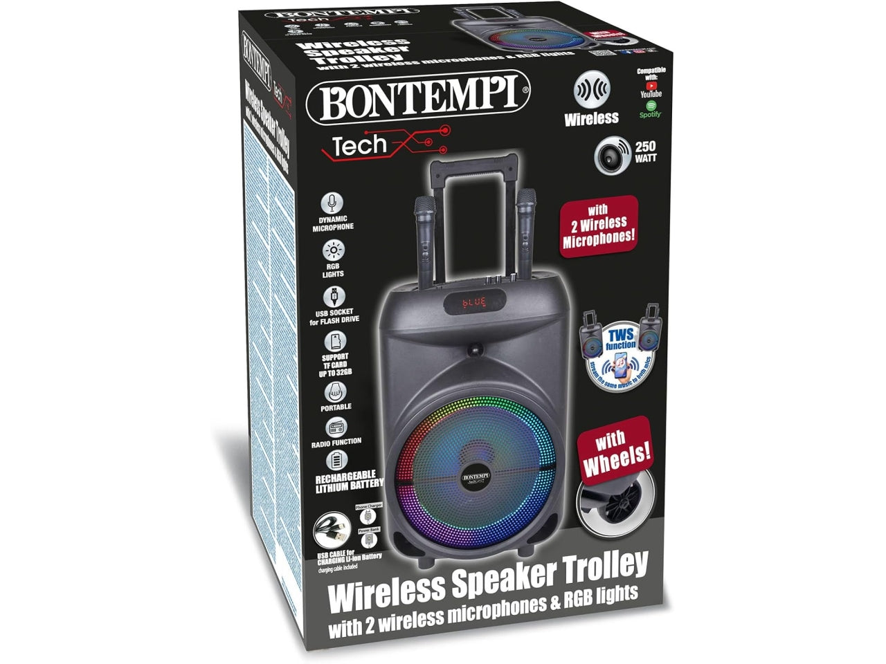 Cassa trolley wireless con 2 microfoni