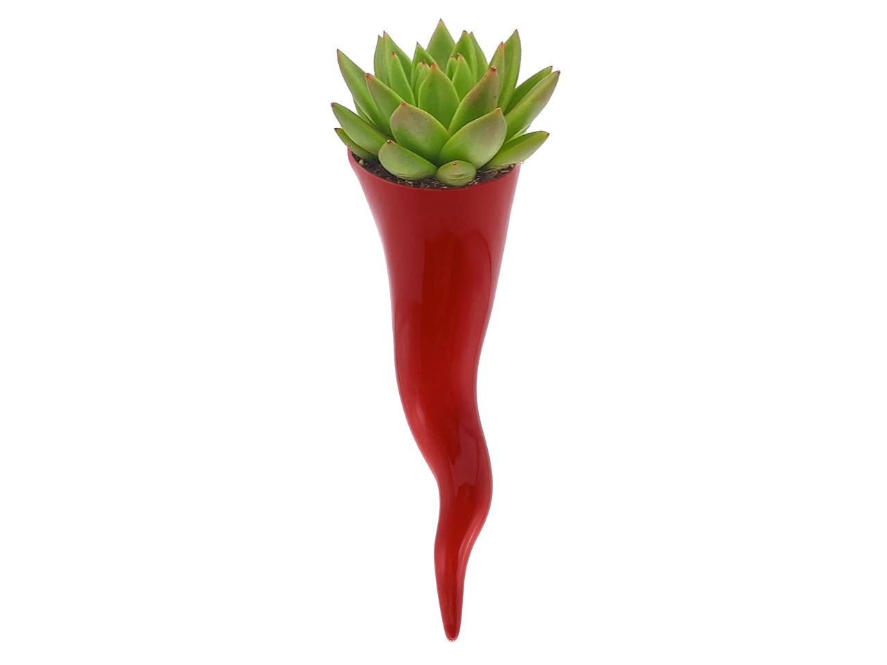 Peperoncino vaso misura h.21cm colore rosso