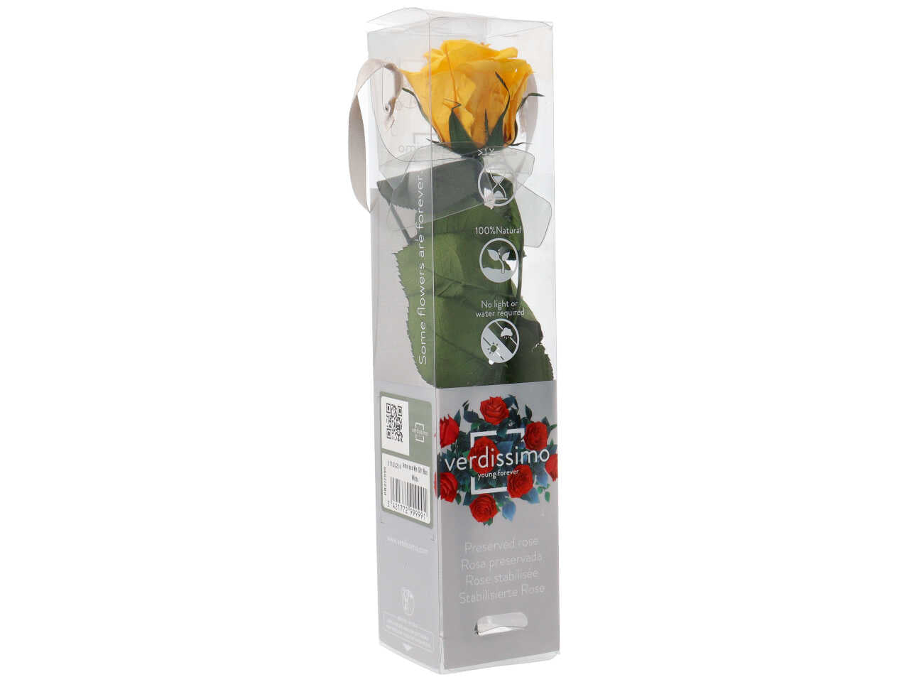 Rosa stabilizzata ass.mini c/gambo prz/2999