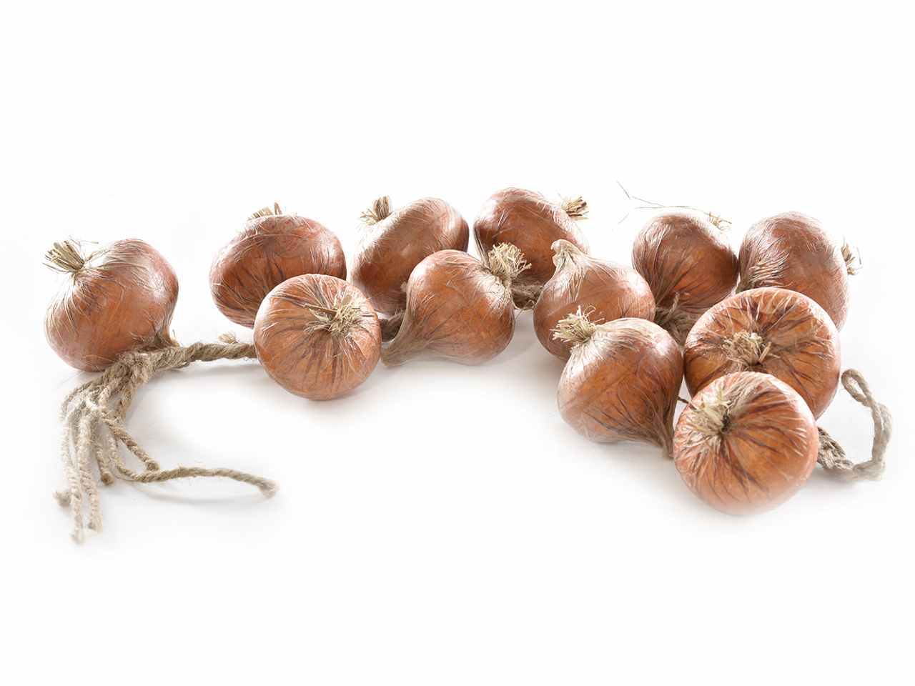 Cipolla in treccia x12 arancio