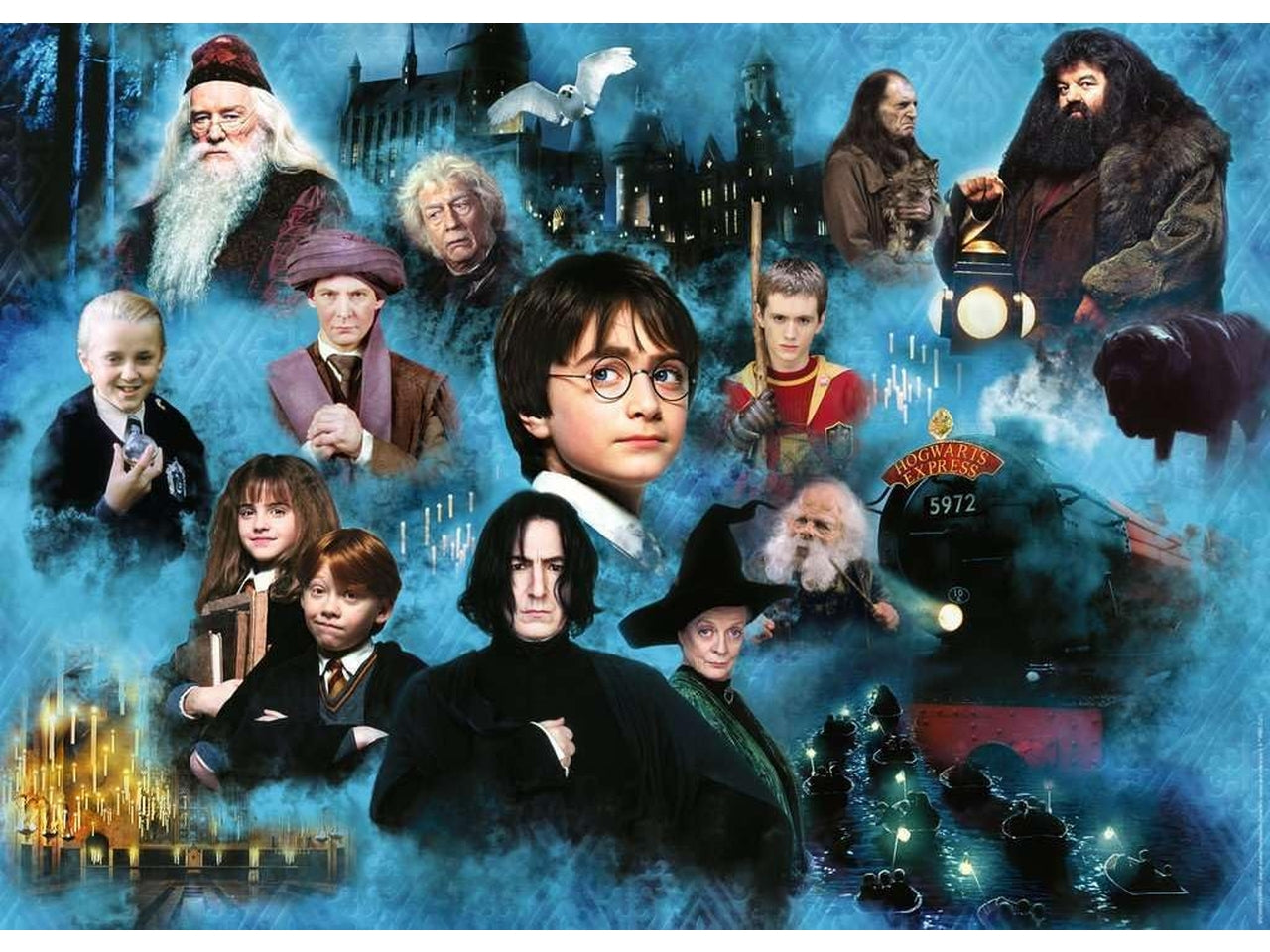 Puzzle harry potter 1000 pezzi