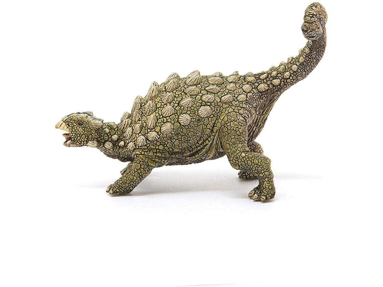 Ankylosaurus