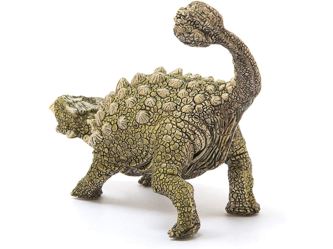 Ankylosaurus