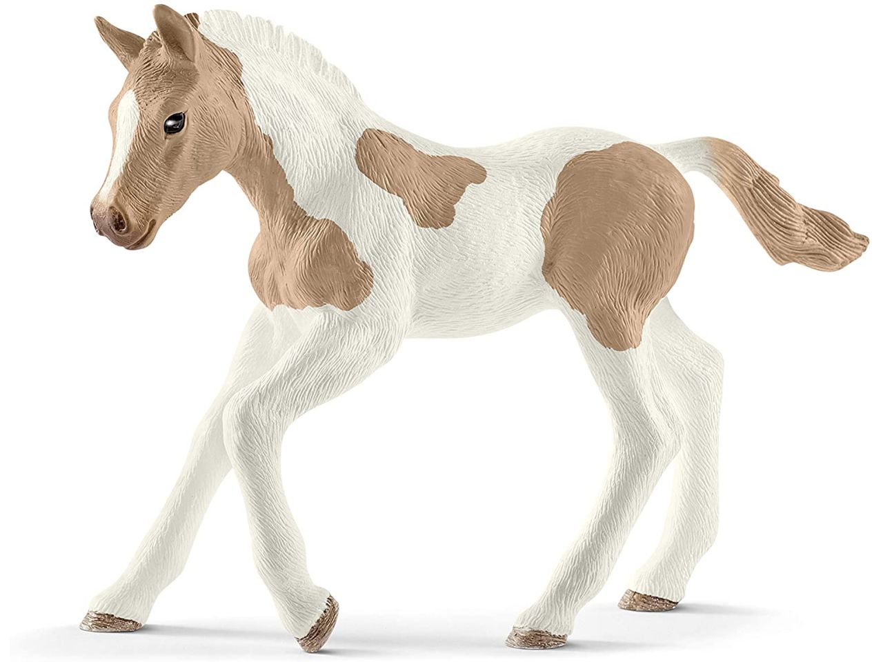 Puledro paint horse