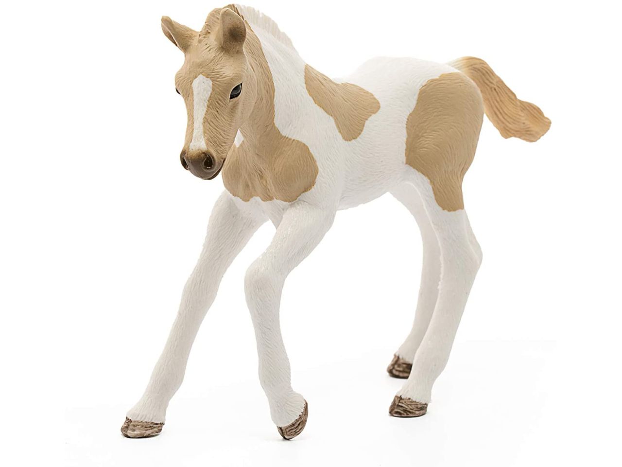 Puledro paint horse