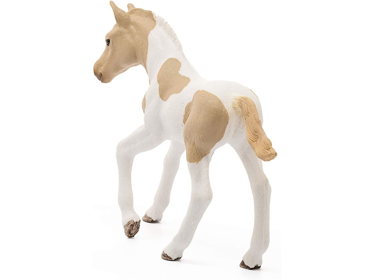 Puledro paint horse