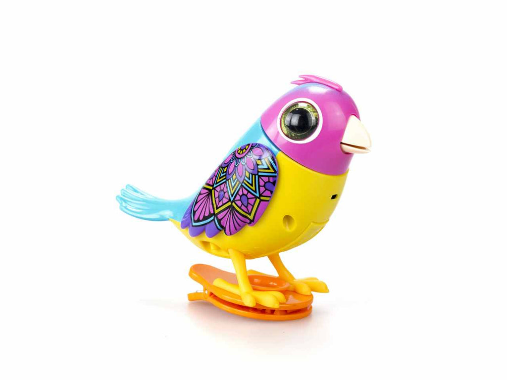Digibirds single pack serie 2 assortiti - Galiani Store