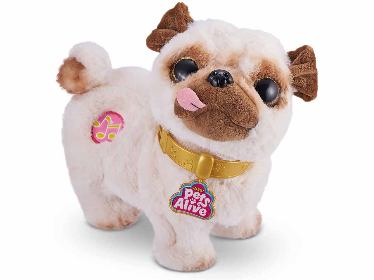 Pets alive cane carlino danzantezu-9521