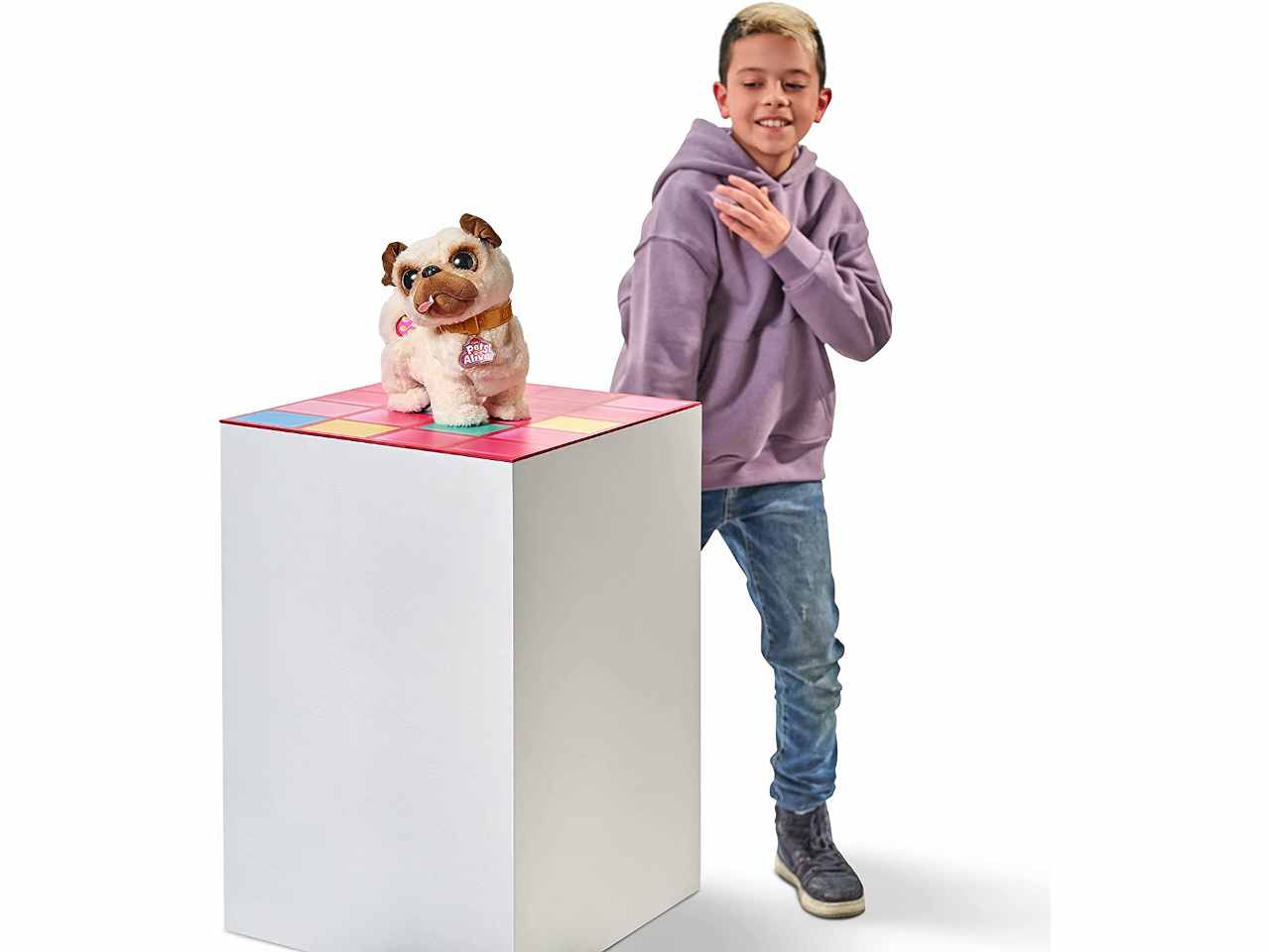 Pets alive cane carlino danzantezu-9521